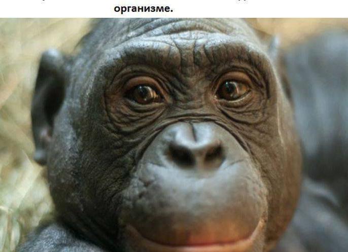 Интересные факты обо всем.VII.